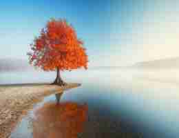 爬‍虫﻿常​用‌框​架​是‌什‌么‍